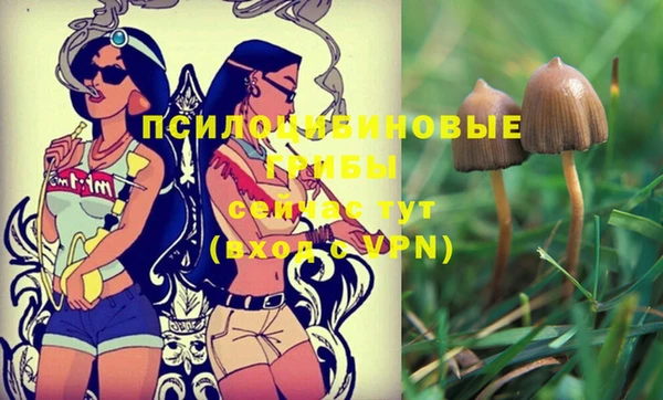 прущий лед Заволжск