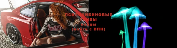 СК Заводоуковск