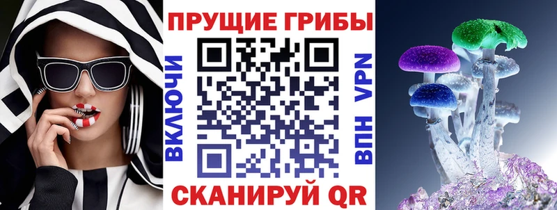 Галлюциногенные грибы мицелий  Купить закладки  Курган 