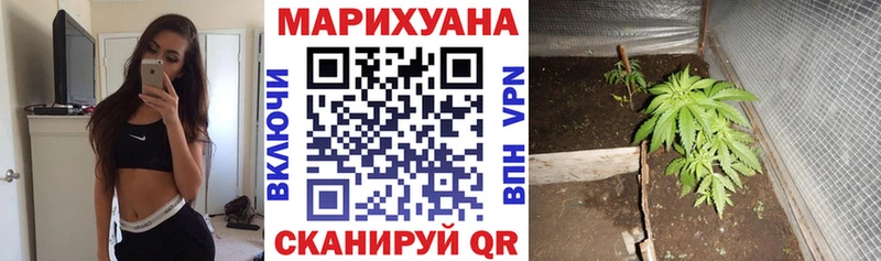 Купить  Курган  Шишки марихуана гибрид 